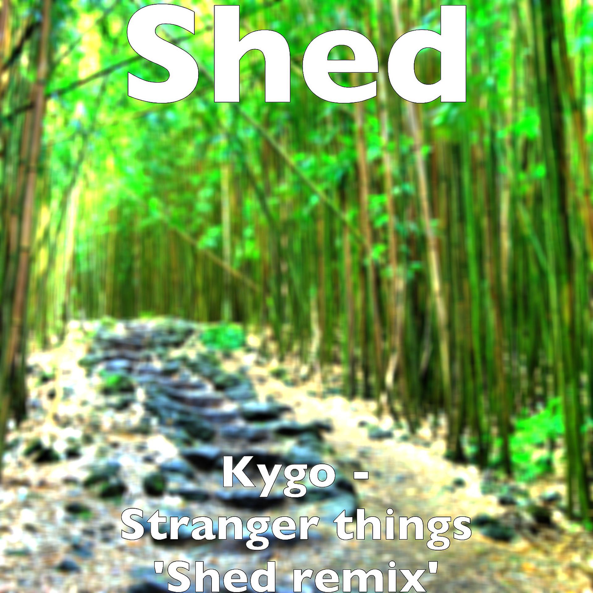Постер альбома Kygo - Stranger things 'Shed remix'