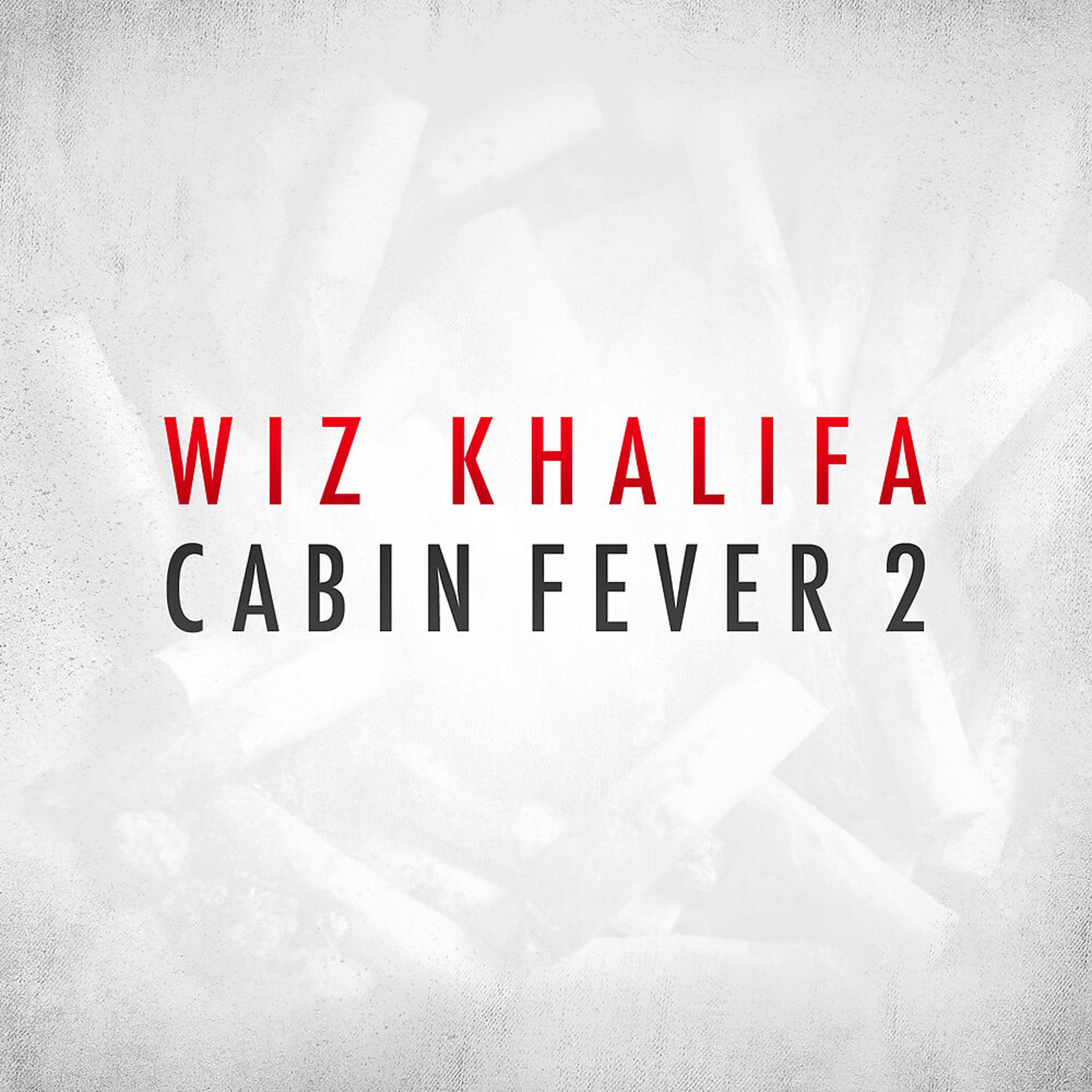 Постер альбома Cabin Fever 2