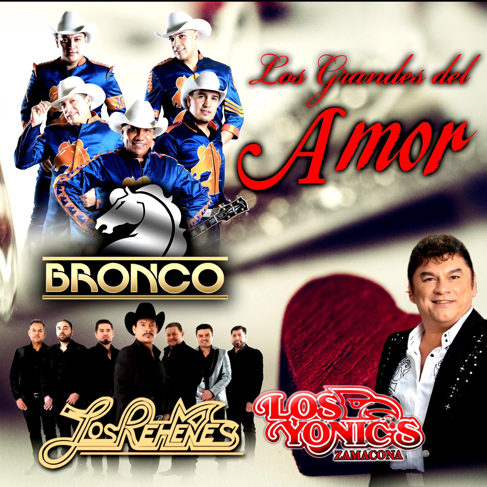 Постер альбома Los Grandes de Amor