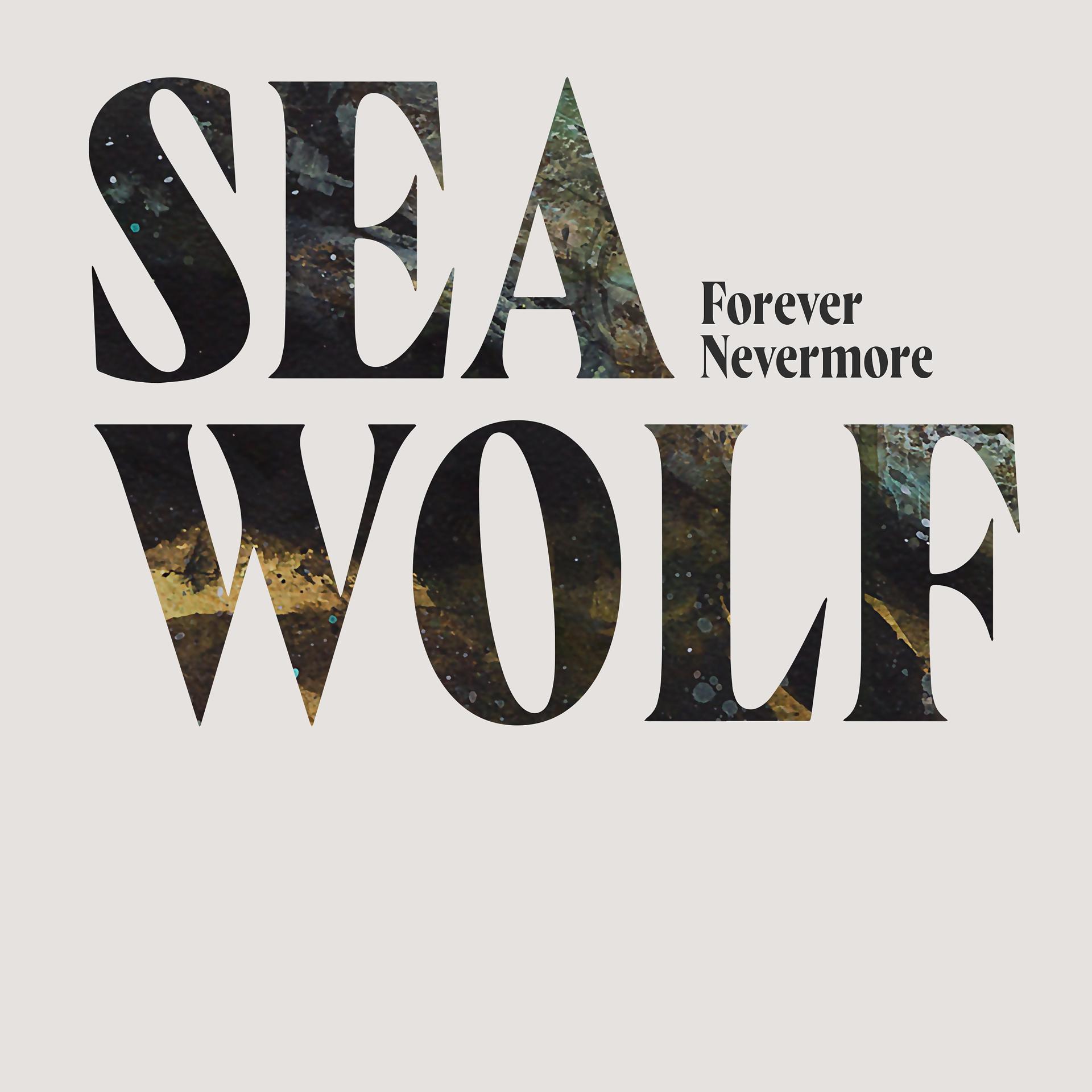 Постер альбома Forever Nevermore