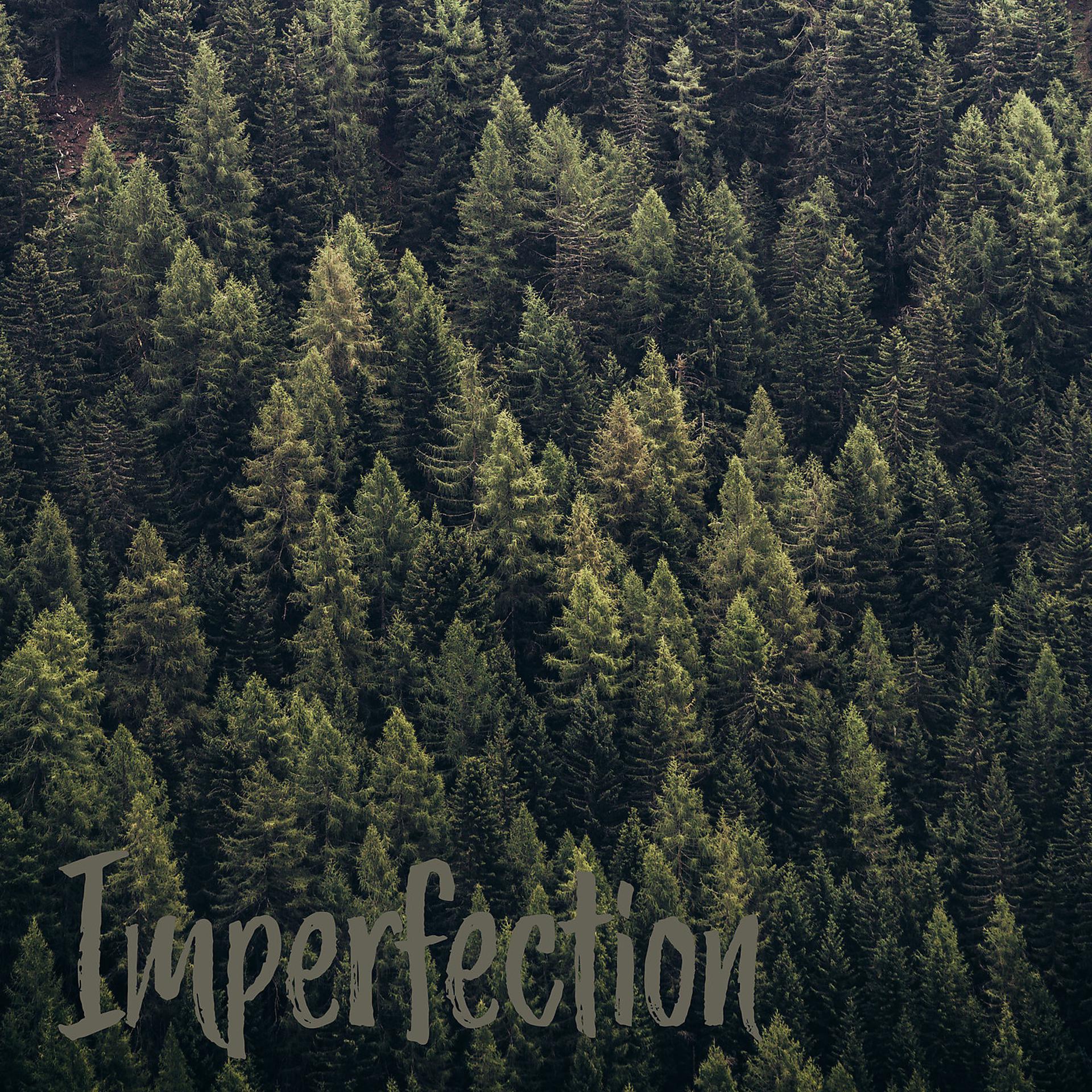 Постер альбома Imperfection