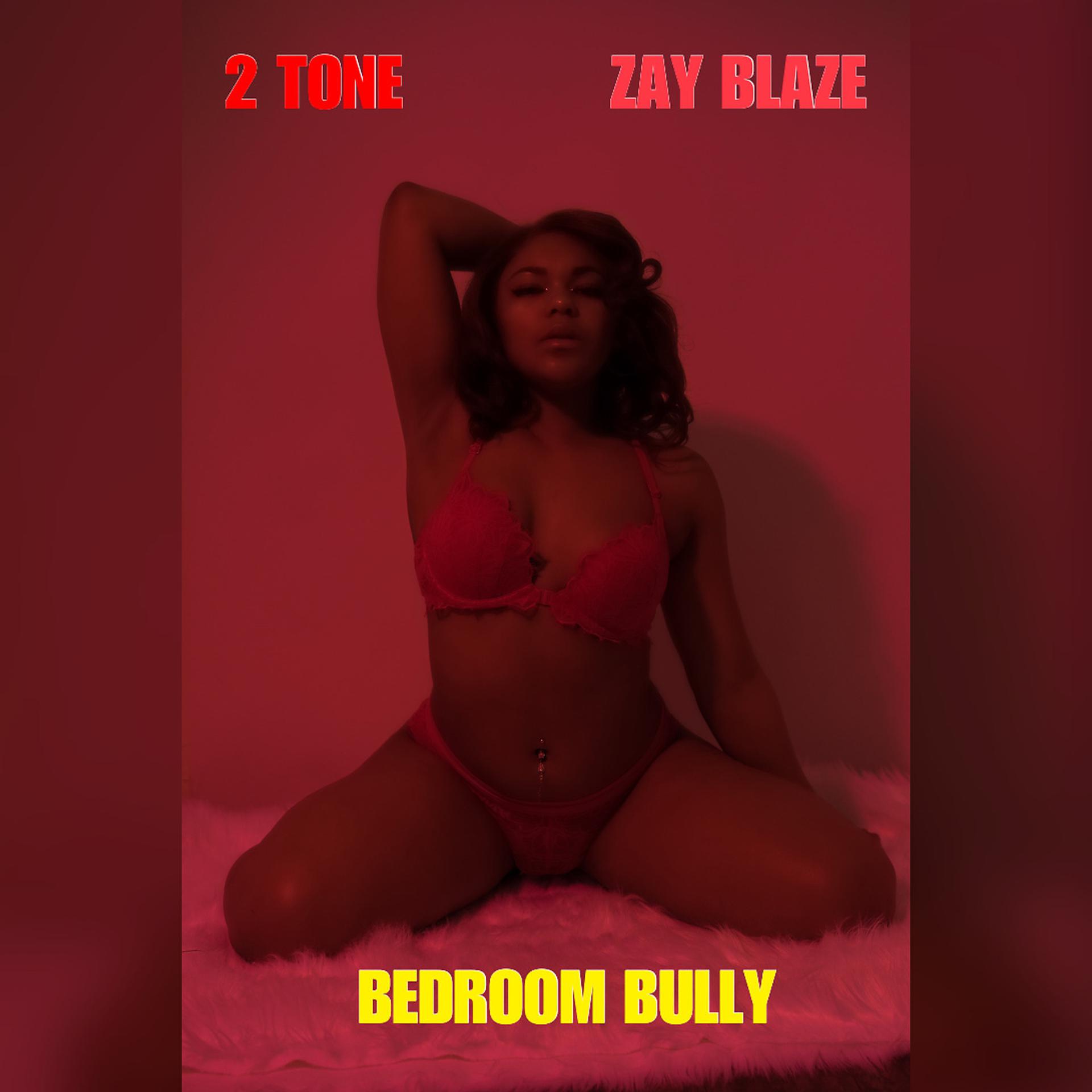 Постер альбома Bedroom Bully